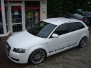 Audis_11