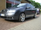 Skoda_5