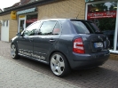 Skoda_6