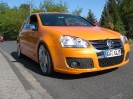 VW´s_5